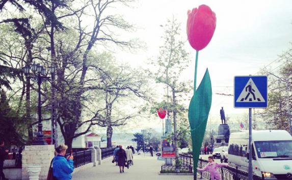В Севастополе «выросли» гигантские тюльпаны
